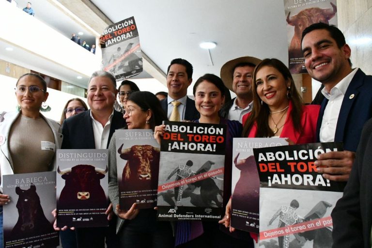 Esmeralda_Hernandez_1Debate_No_a_las_Corridas_de_Toros-02